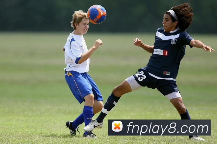 富牛娱乐官网平台生态图